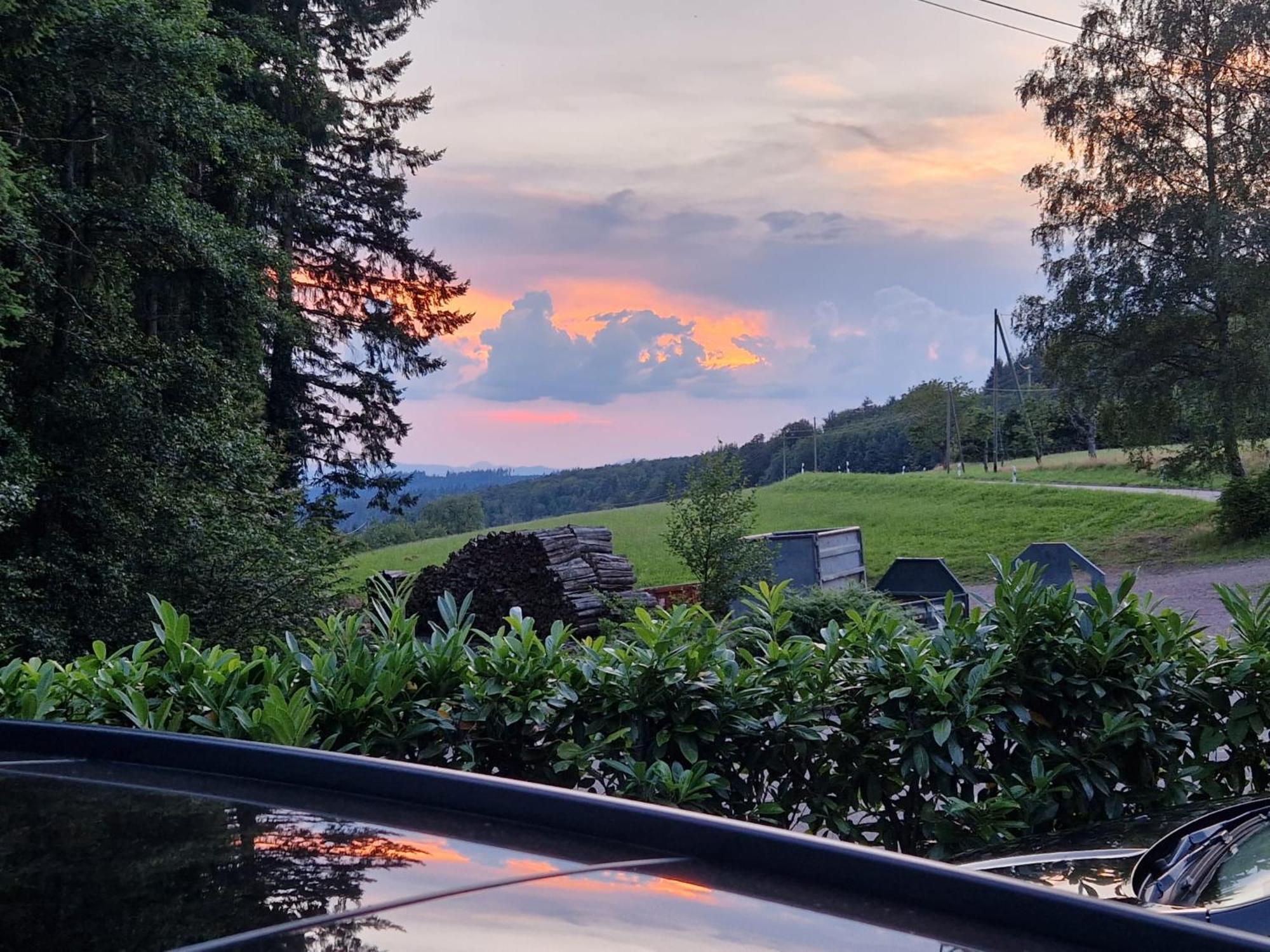 Ferien Im Schwarzwald Freiamt Hotel Kültér fotó