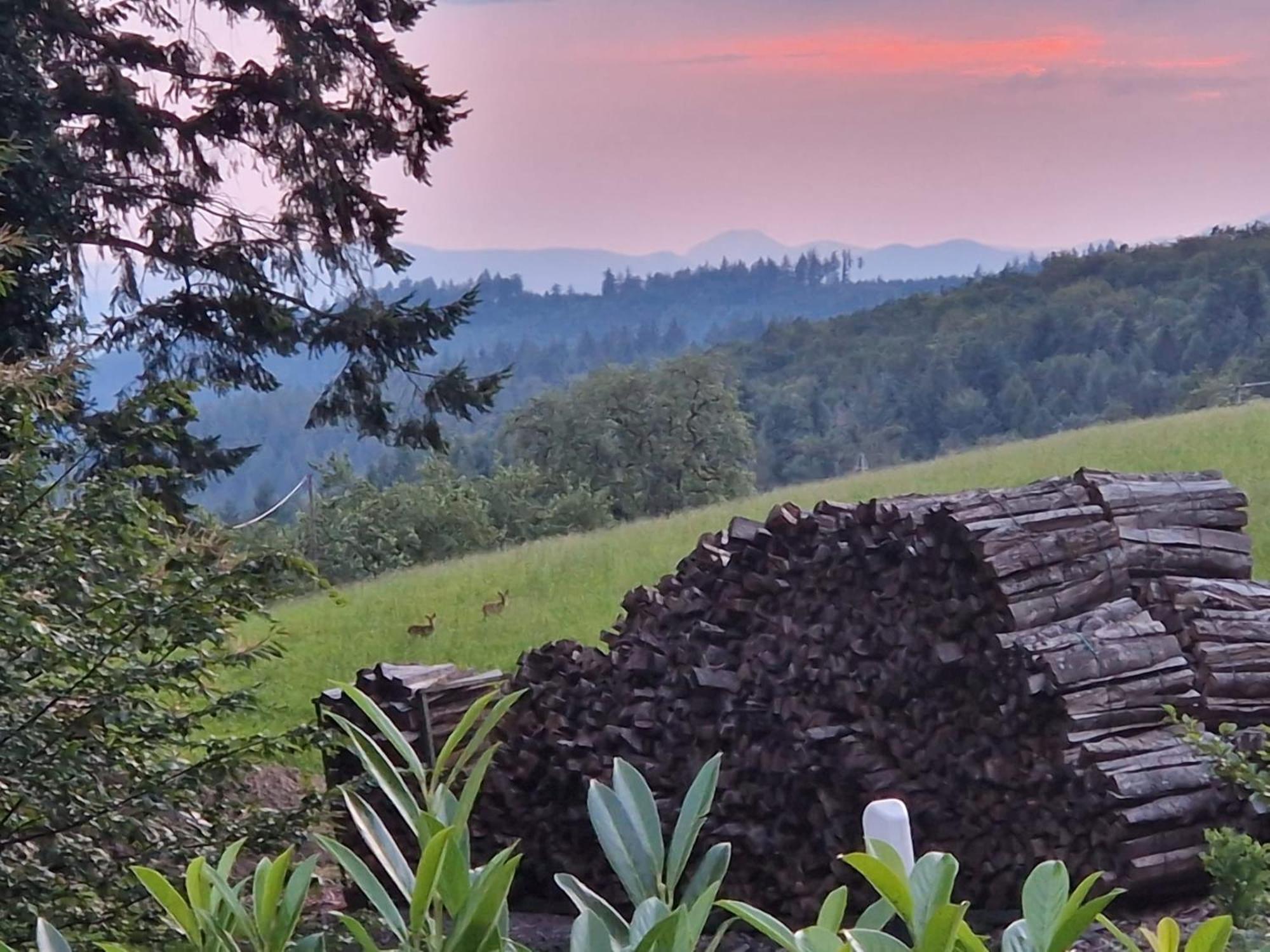 Ferien Im Schwarzwald Freiamt Hotel Kültér fotó