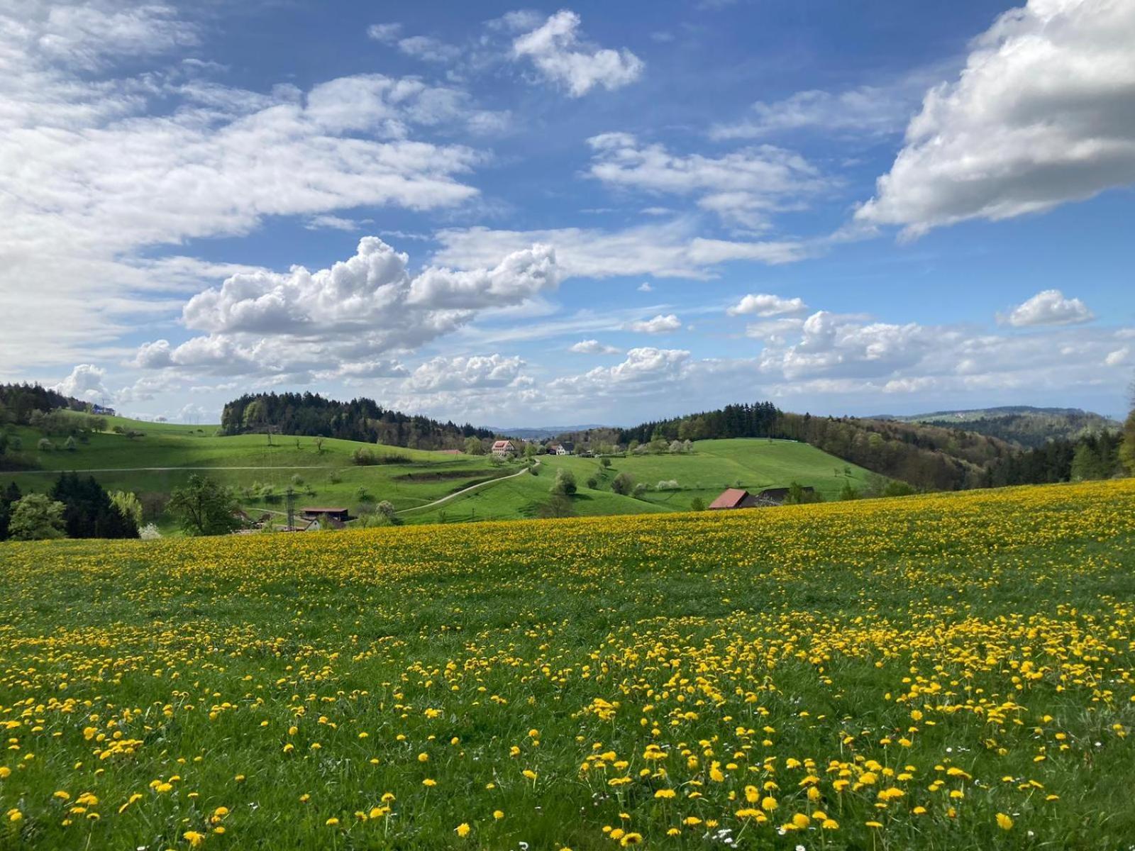 Ferien Im Schwarzwald Freiamt Hotel Kültér fotó