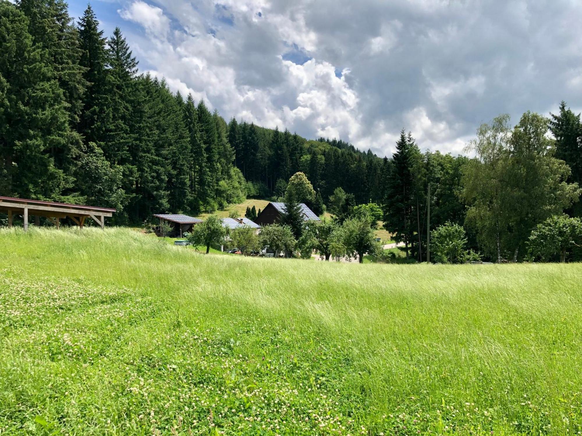 Ferien Im Schwarzwald Freiamt Hotel Kültér fotó