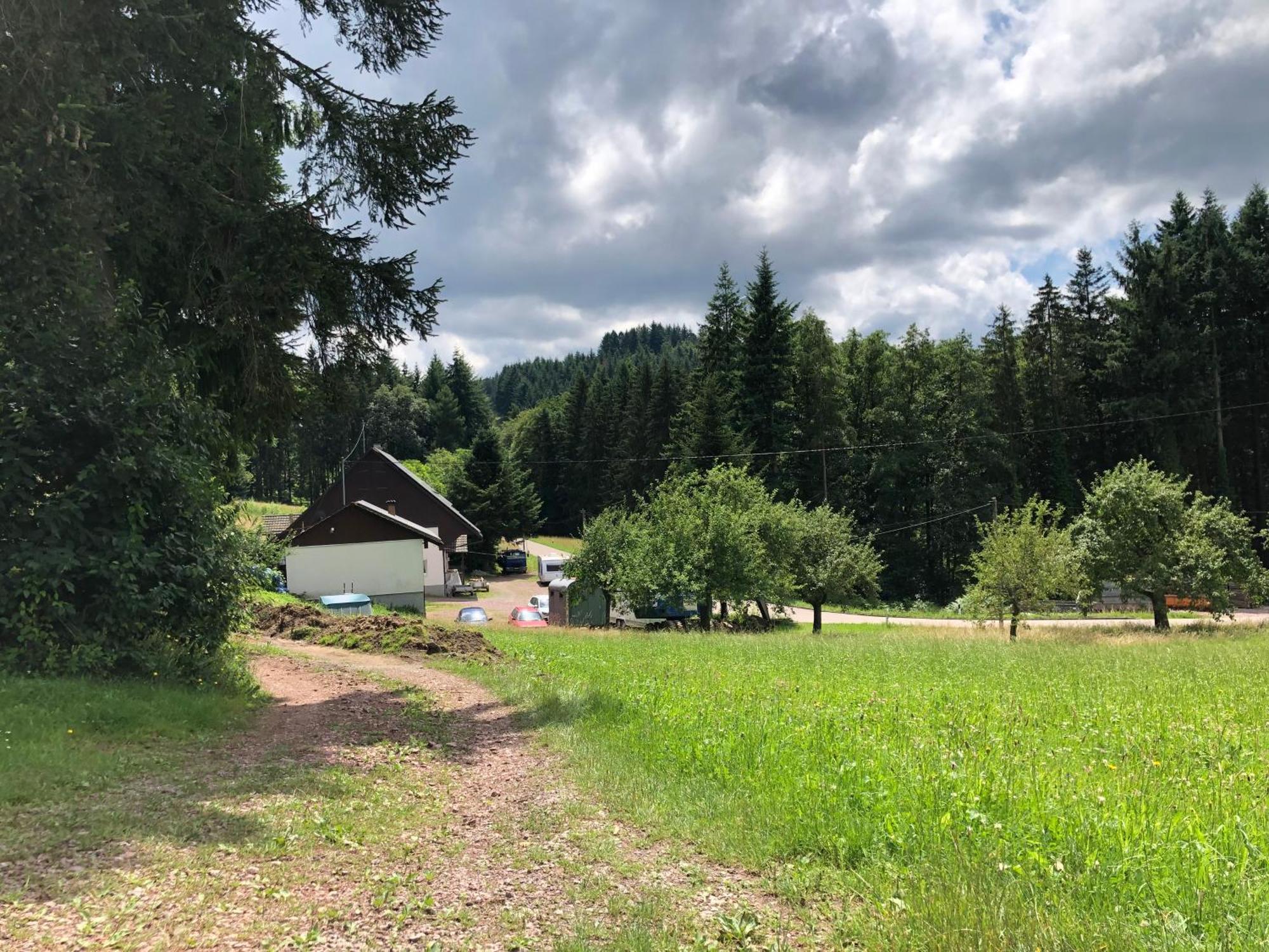 Ferien Im Schwarzwald Freiamt Hotel Kültér fotó