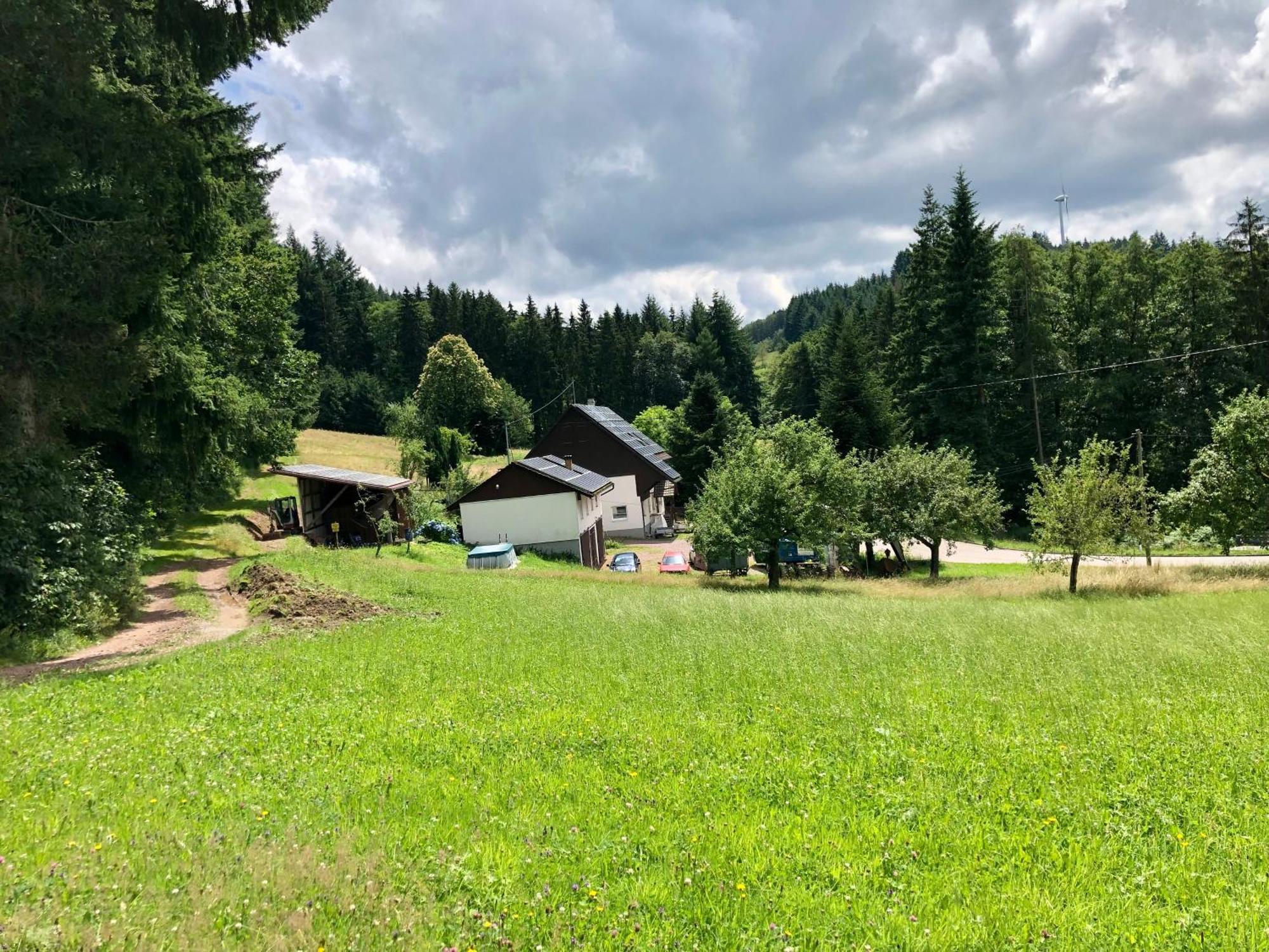 Ferien Im Schwarzwald Freiamt Hotel Kültér fotó